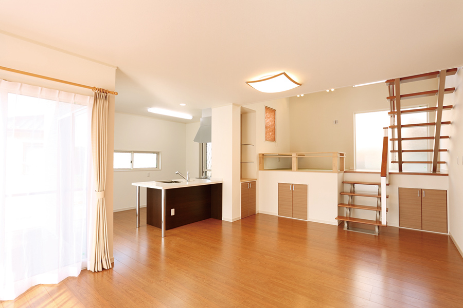 大容量のスキップ収納がある家